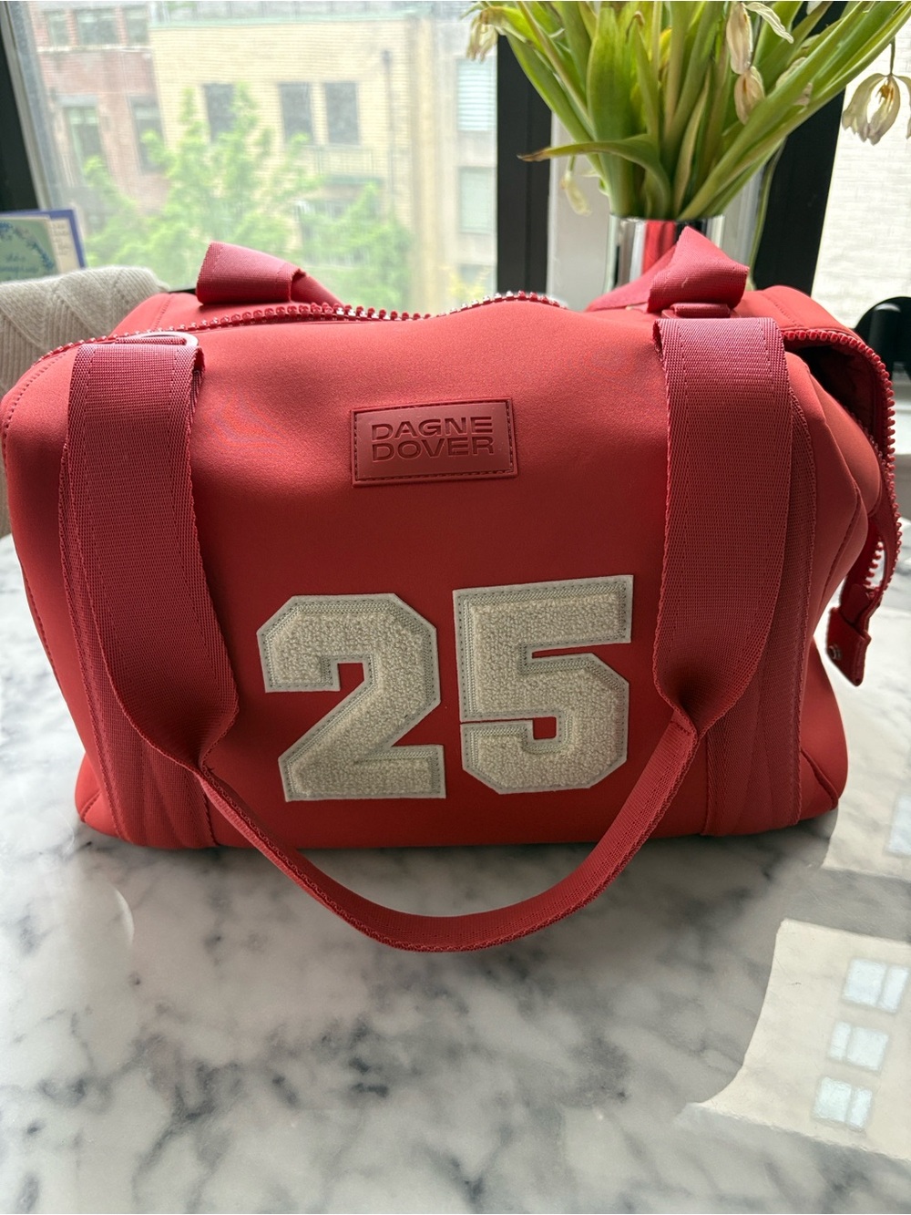 Medium Dagne Dover Landon Caryall duffle bag (NEW)